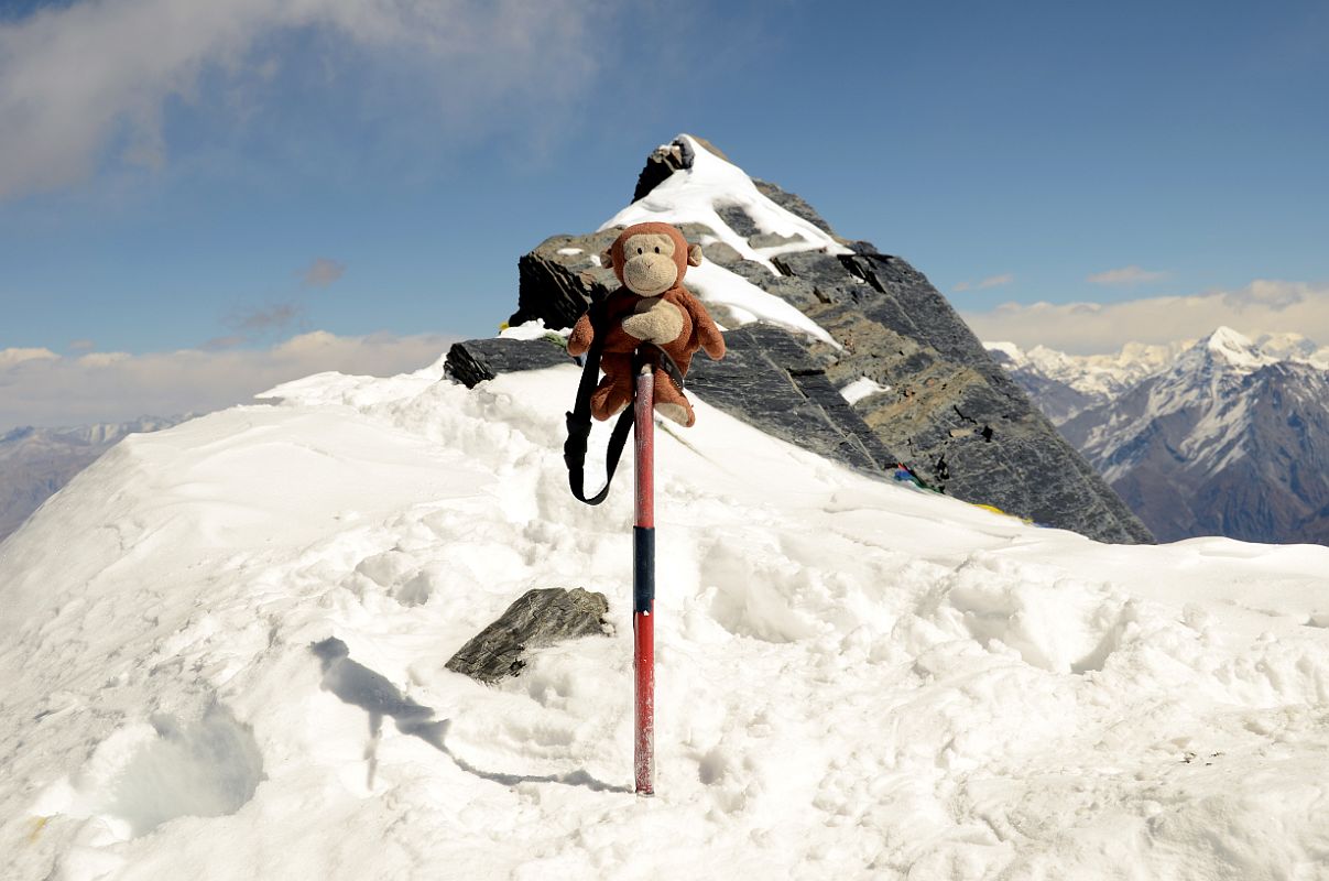 31 Dangles On The Summit Of Dhampus Peak 6060m 